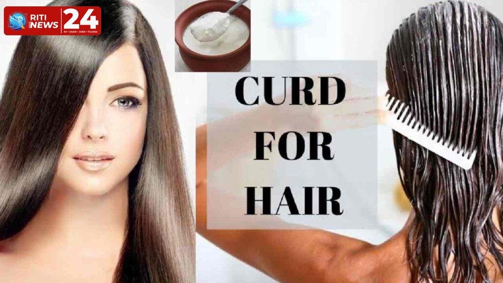 Curd For Hair